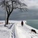 Coldest Blast of Winter Shakes Energy Markets Across the U.S.