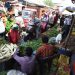 Rs 10.8 cr approved for vegetable markets in Kullu, Lahaul-Spiti : The Tribune India