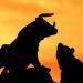 U.S. Market Wrap and Forecast for Tuesday