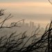 Scientists warn over misuse of climate models in financial markets