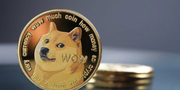 Dogecoin Transactions Are Spiking as Crypto Market Recovers
